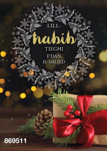 Picture of LILL-HABIB  FDAN IL-MILIED